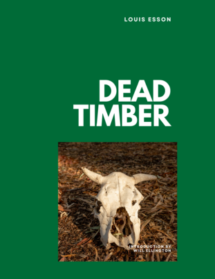 Minimal Modern Night Photo Book Cover (8.5 x 11 in) (11)